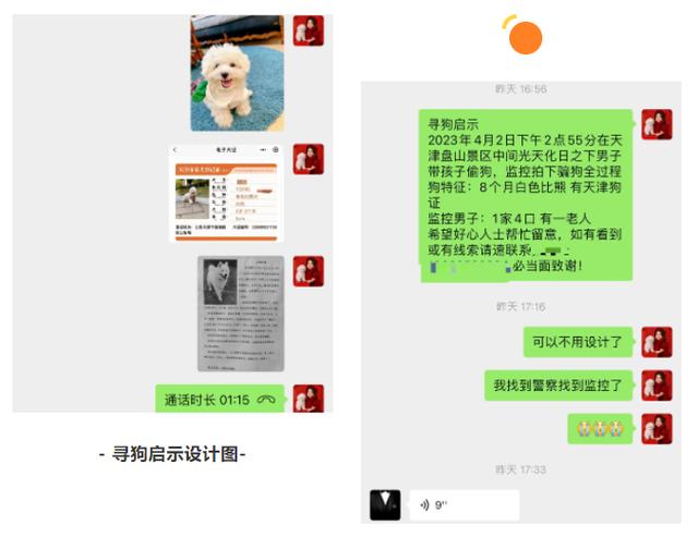 宠物寻找团队？宠物寻找团队是否违法！