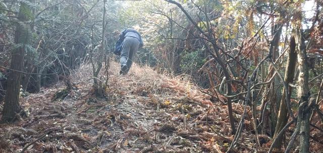 天文山游记担米山，木甑饭香了一座山岭蝶风缥雨神诗社625期