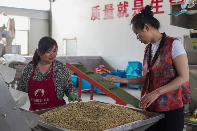 网店起名从“不务正业”到“网店达人”，何丹丹把家乡农产品卖到全国各地