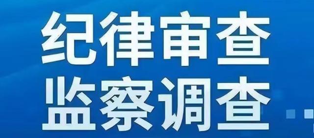 贪字取名的寓意女孩湖南益阳市一县级医院院长落马，敛财近1000万，自幼家境贫寒