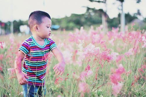 属虎的小孩乳名属虎女孩最吉利的乳名