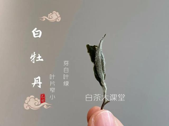 茶叶店名字_有创意_三个字_聚财茶叶店名字_有创意_三个字_聚财找茶