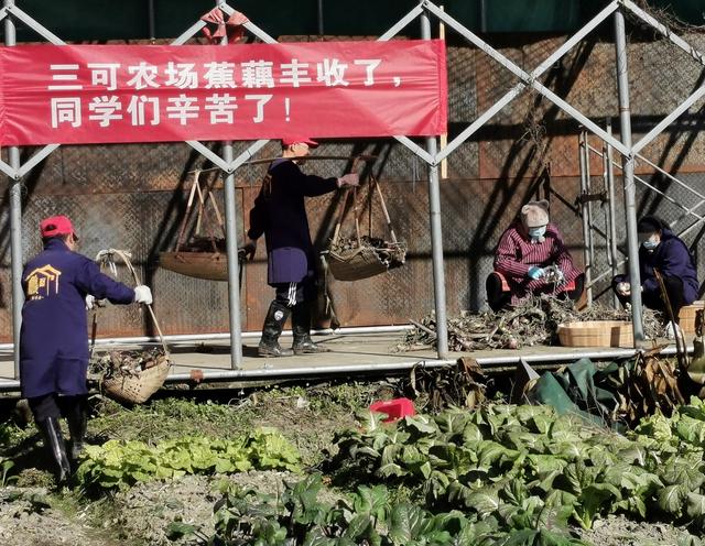 老同学的群名叫什么好关于老同学的群名